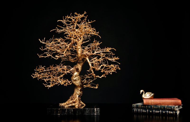 <p>In 2013, as co-founder, I was able to bring L`Arbre Switzerland AG on the road. <br />The company was basically focused on the development, production, and of course, the sales of exclusive accessories, such as the L`Arbre d`Or, a – in a special electroplating process – gold-plated bonsai.<br />If you are interested in the product,... please, let me know.</p>