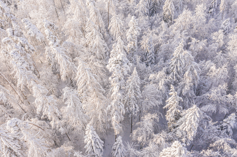 <p>Switzerland in winter.<br />Elgg, Switzerland.</p>