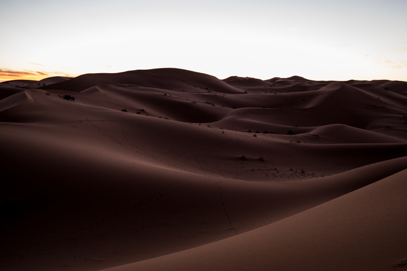 <p>The Sahara Desert at the border region of Algeria and Marocco.</p>