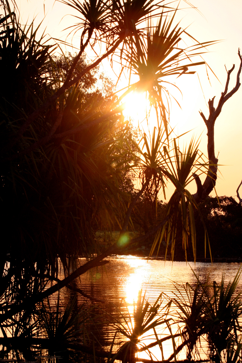 <p>Litchfield NP, Australia. </p>