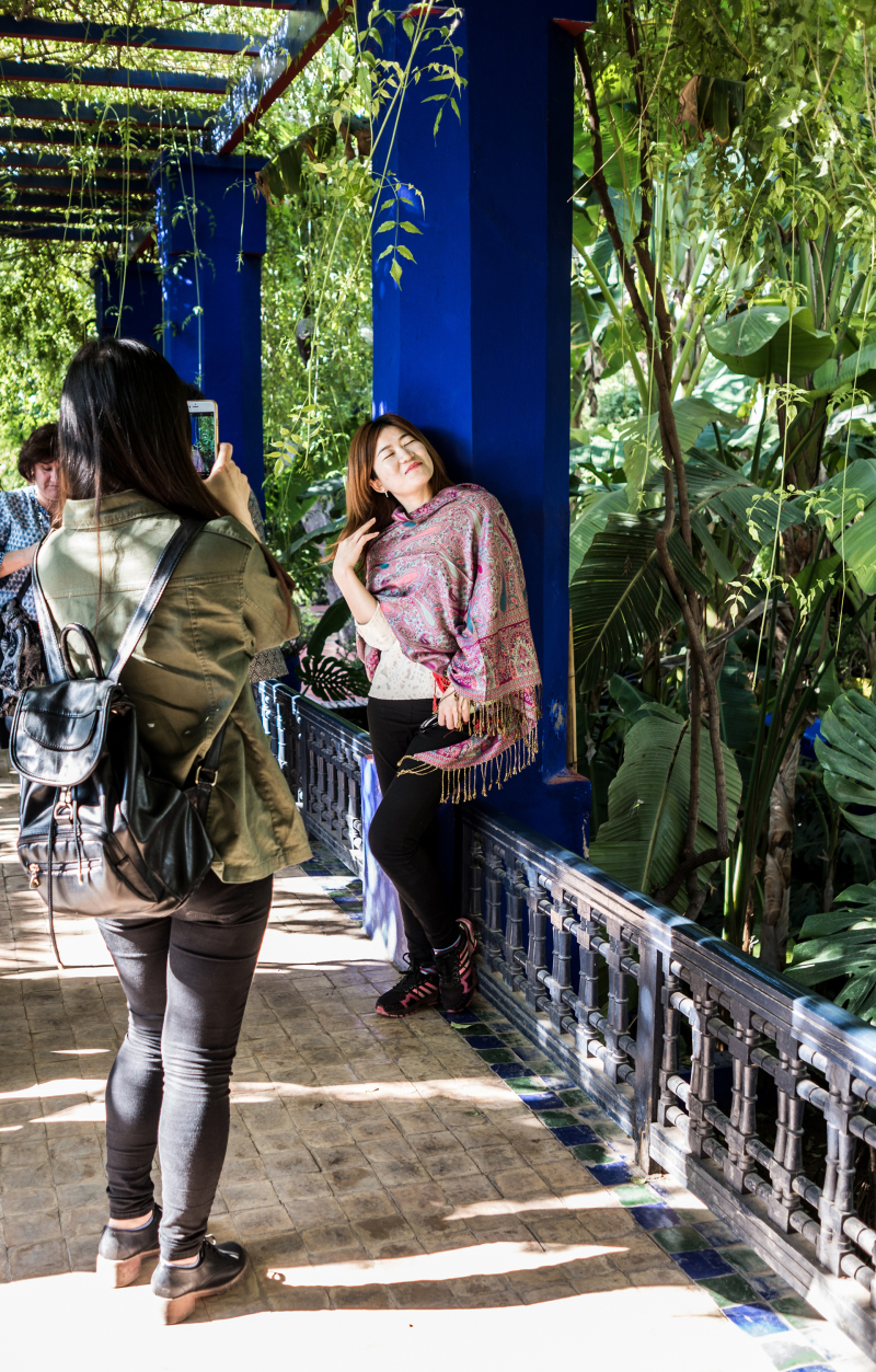 <p>Jardin Majorelle, Marrakech, Marocco.</p>