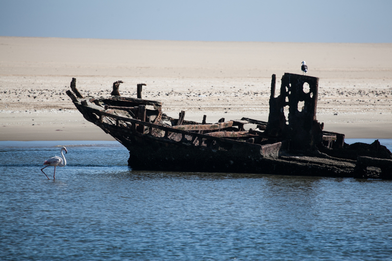 <p>Walvis Bay, Namibia.</p>