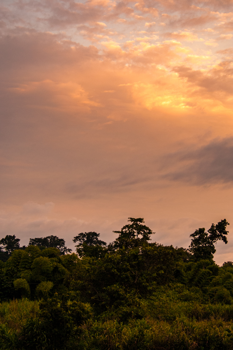 <p>Rainforest evening mood somewhere in the Volta Region, Ghana. </p>