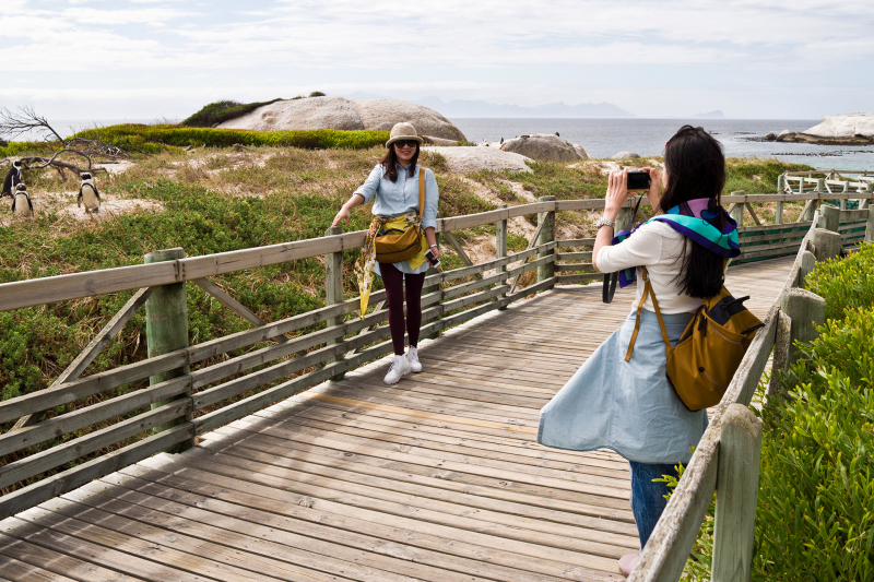 <p>Boulders Beach Penguin Colony (Simon's Town), South Africa.</p>