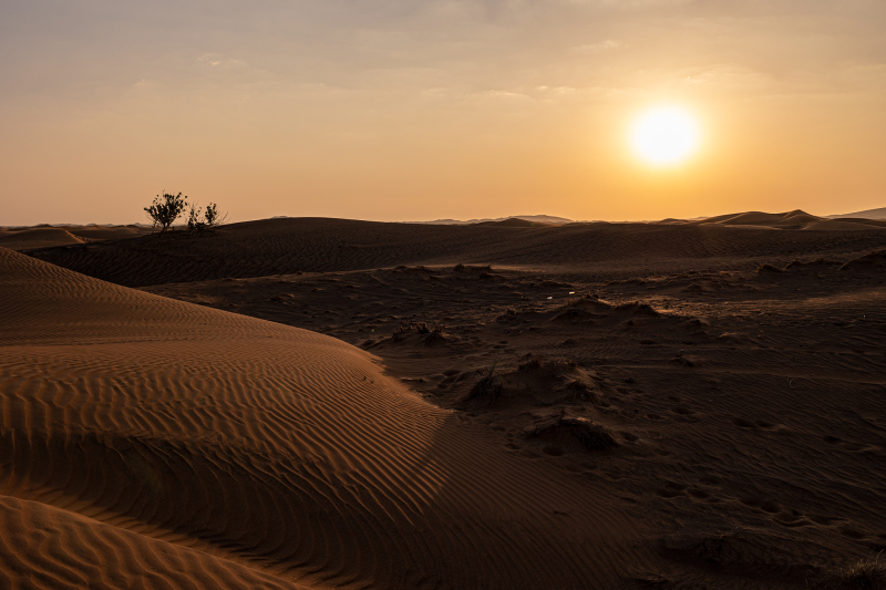 <p>The ghost village of Al Madam, Sharja, UAE.</p>