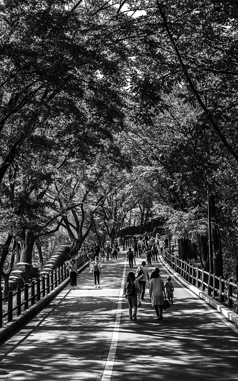 <p>Seoul, South Korea.</p>